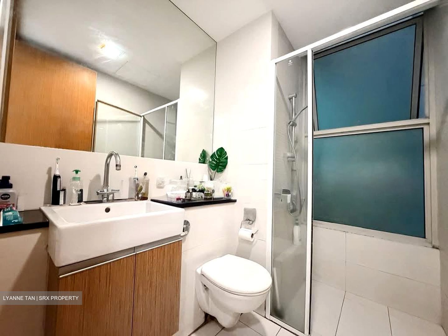 Montview (D10), Condominium #566472221